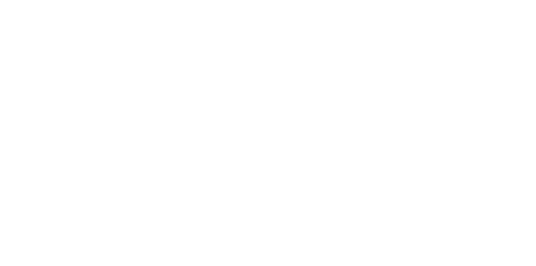 Company Vision