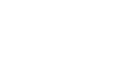 Company Vision
